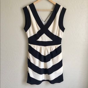 BCBG Little Black and White Dress